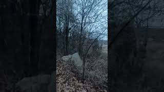 Reconnoitering The Land of the Black Bear Sterling Forest NY State Park [upl. by Leeda]