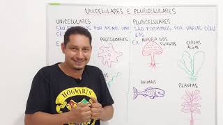 UNICELULARES E PLURICELULARES [upl. by Ahseyi]