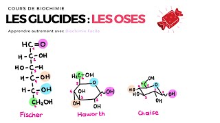 GLUCIDES  LES OSES 🍬 Biochimie Facile [upl. by Lonne]