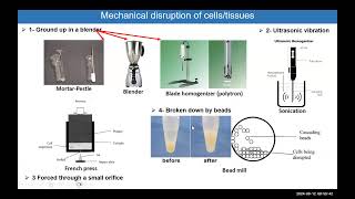 Module 3 Cellular Fractionation HSS3109 [upl. by Lyram]