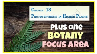 Plus one Botany focus area class Chapter Photosynthesis in higher plants [upl. by Francesca719]