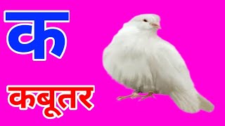 K se kamal  K se kabutarkhsekhargosh  A seAnar  phonics songs for children [upl. by Sucramrej]