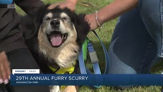 29th Furry Scurry Live Update at 954 AM [upl. by Fennelly]