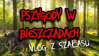 NASZE PSZYGODY W BIESZCZADACH 🐗😱 To był zły pomysł [upl. by Emmalee446]