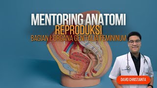 Mentoring Modul Reproduksi Anatomia Genitalia Femininum [upl. by Aurthur]