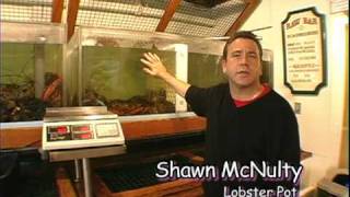 Lobster Pot Pt 1 w Shawn McNulty Stephen Holt Show [upl. by Rodrigo]