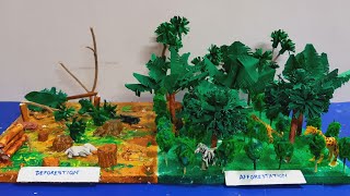 Model of Afforestation and Deforestation  Save Tree Save Earth model  Climate Change project [upl. by Prochora295]