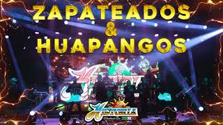 Zapateados amp Huapangos  La Historia Musical De México  Mix Audio [upl. by Merola]