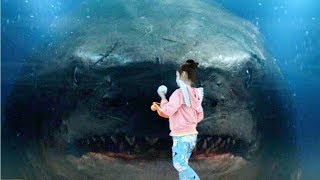 Megalodon Bites The Glass  The Meg 2018 Movie Clip HD [upl. by Patin]