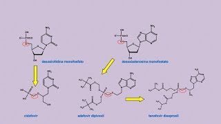 TenofovirAdefovirCidofovir antivirales síntesis introducción [upl. by Estus487]