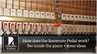 How does the Sostenuto middle pedal on a grand piano work See the mechanism inside the piano [upl. by Kipp]