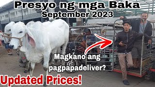 UPDATED  Presyo ng Baka sa Cattle Trading Capital of the Philippines Padre Garcia Batangas [upl. by Baynebridge]