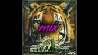 selva negra mix [upl. by Adneral]