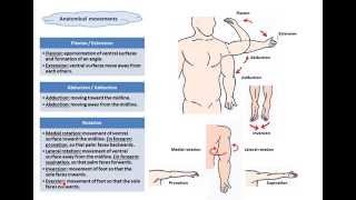 terms of movementsDrAhmed Farid [upl. by Asha]