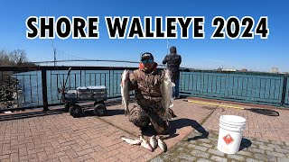 FIRST SHORE WALLEYE LIMIT OF 2024  DETROIT RIVER FISHING [upl. by Zigmund19]