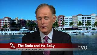 David Perlmutter Belly and the Brain [upl. by Ikcaj]