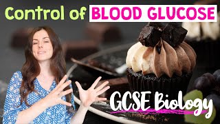 CONTROL OF BLOOD GLUCOSE GCSE Biology 91  Combined Revision amp Qs [upl. by Anna-Diane]