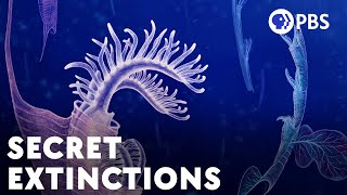 The Huge Extinctions We Are Just Now Discovering [upl. by Arretahs232]