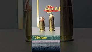 What you need to know 380 Auto vs 9mm Parabellum [upl. by Goodill733]