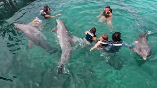 Oceanário Islas del Rosario  Cartagena [upl. by Houston]