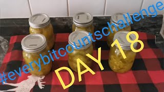 everybitcountschallenge HOW TO MAKE BREAD amp BUTTER PICKLES using Morden Early Cucumbers DAY18 [upl. by Iram]