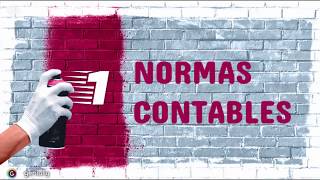 MARCO NORMATIVO DE LA CONTABILIDAD [upl. by Wooster]