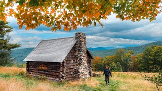 Went North to Find Fall [upl. by Oimetra860]