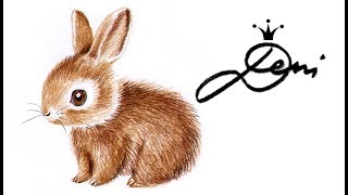 🐰 Kaninchen 🐇 Häschen zeichnen lernen in 3 Farben 🐰 how to draw a bunny with 3 colors 🐰 рисува зайче [upl. by Neelcaj534]