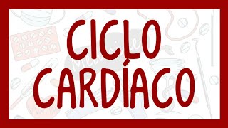 CICLO CARDÍACO  SÍSTOLE E DIÁSTOLE  Animação Dublada [upl. by Nwotna164]