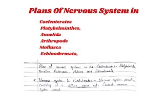 Plan of nervous system in kingdom Animalia  Structural organisation in Animals msczoology [upl. by Guyer]