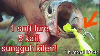 Soft Lure Terbaik super ampuh [upl. by Yelbmik]