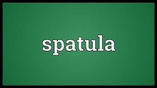 Spatula Meaning [upl. by Ecnarolf]