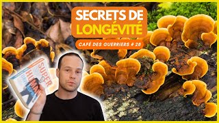 Le Champignon Longévité des Empereurs Chinois pour Rajeunir Reishi [upl. by Linehan]