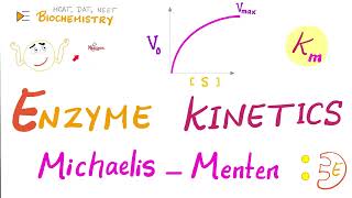 MichaelisMenten Equation amp Enzyme Kinetics  Biochemistry Series [upl. by Ronnholm]