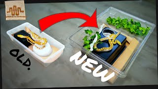 Creating a BETTER DIY Snake Enclosure [upl. by Maxim37]