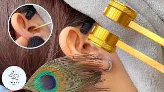 ASMR  満足な中国式の耳かき  Satisfying Chinese Style Ear Cleaning [upl. by Idou173]