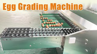 How Our Egg Grading Machine Ensures GradeA Eggs  Egg Grader Machine [upl. by Ttehc]