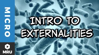 An Introduction to Externalities [upl. by Gillan810]