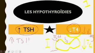 cours endocrinologie hypothyroidie [upl. by Etnuaed]