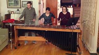 Hoedown from Rodeo by Aaron Copland arranged for marimba [upl. by Loesceke]