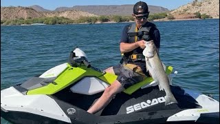 2023 Sea Doo Spark 90HP W IBR Review [upl. by Victor920]