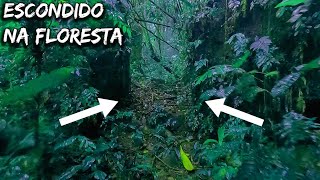 ENCONTREI UM MISTERIOSO PORTAL DE PEDRA NA MATA [upl. by Tome173]