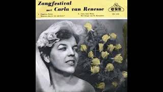 Carla van Renesse  Papieren rozen 1960 [upl. by Hoashis]