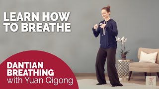 Dantian breathing tutorial  Powerful Yuan Qigong practice for calmness and stability [upl. by Thurmond]