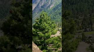 The mohntain call you🥰 song uttarakhand music love minivlog [upl. by Eelidnarb]