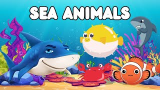 Sea animals name in EnglishWater animals nameOcean animalsSea animals [upl. by Yael]