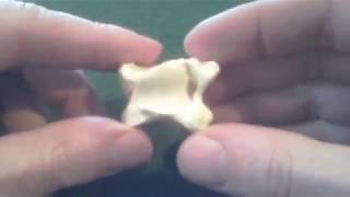 Knucklebones DLR Lesson with Tab [upl. by Gibeon]