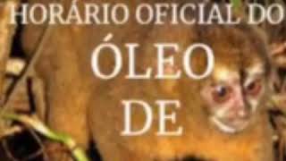 Meia Noite  Horário Oficial do Óleo de Macaco VIDEO ORIGINAL [upl. by Pitzer]