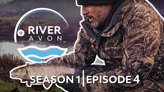 Chub Fishing on River Avon Warwickshire  S1 E4  Out amp About Angling [upl. by Libys]