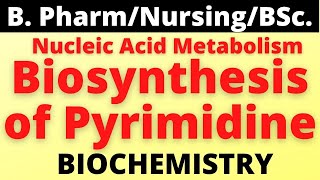 Biosynthesis of PyrimidineNucleic Acid MetabolismBiochemistryB PharmacyBScNursing [upl. by Henriette431]